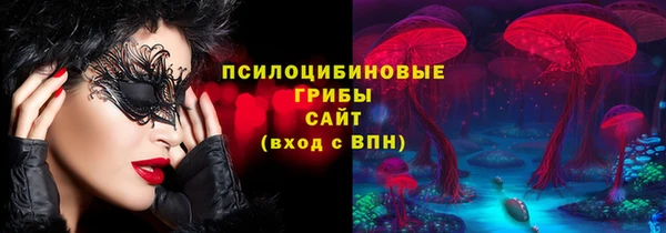 хмурый Корсаков