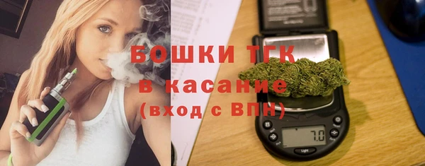 хмурый Корсаков