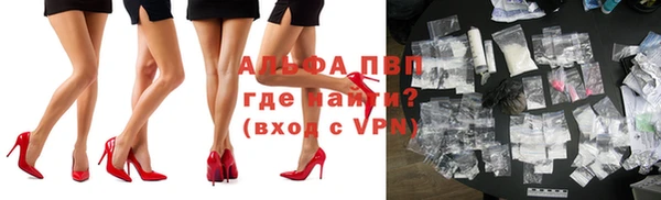 хмурый Корсаков