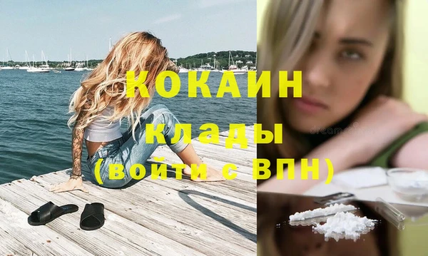 хмурый Корсаков