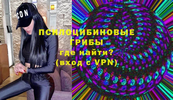 хмурый Корсаков