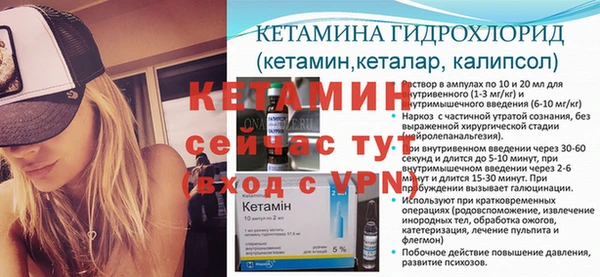 хмурый Корсаков