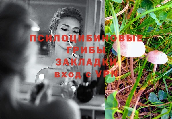 COCAINE Костерёво