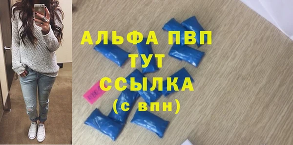 хмурый Корсаков