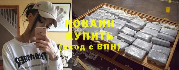 хмурый Корсаков