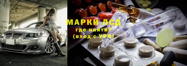 хмурый Корсаков