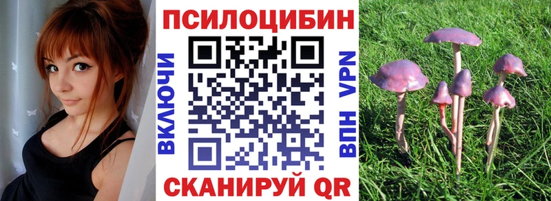 Купить где  Болхов  Галлюциногенные грибы Cubensis 